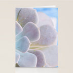 Echeveria Stationery Card Gallery Image 2
