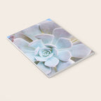 Echeveria Notebook Gallery Image 3