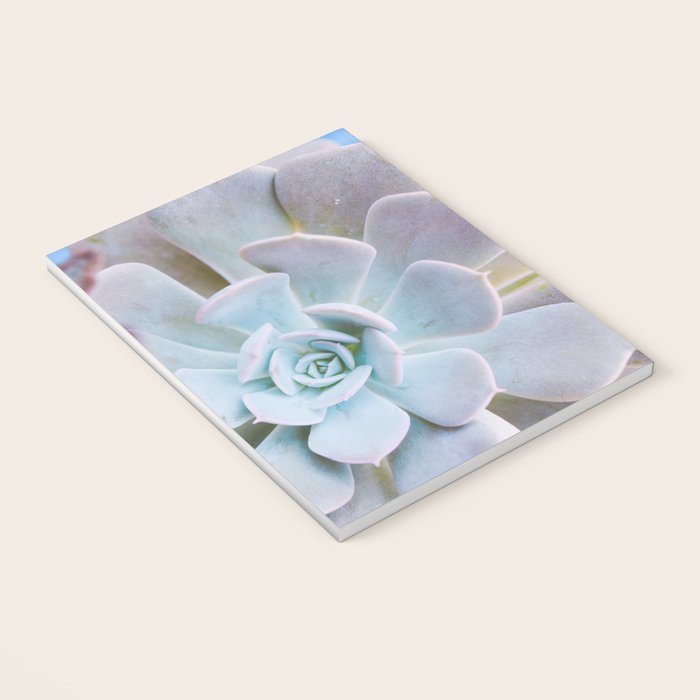 Echeveria Notebook Gallery Image 3