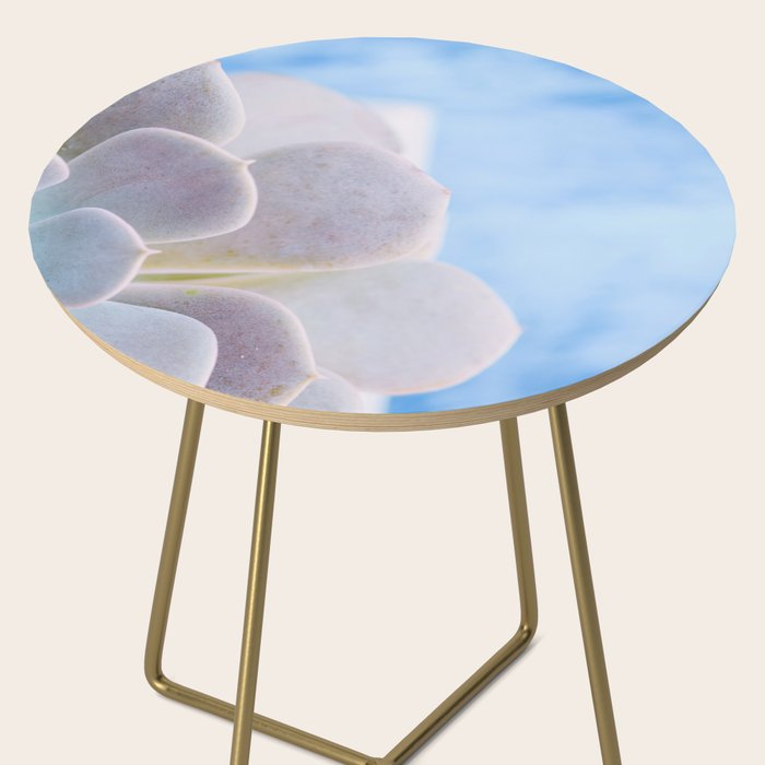 Echeveria Side Table Gallery Image 2