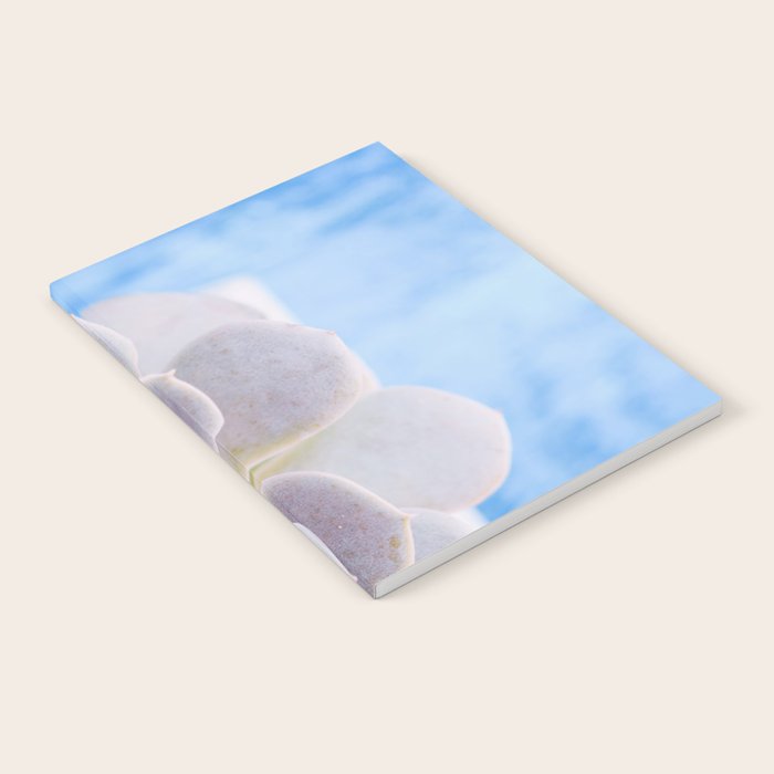 Echeveria Notebook Gallery Image 2