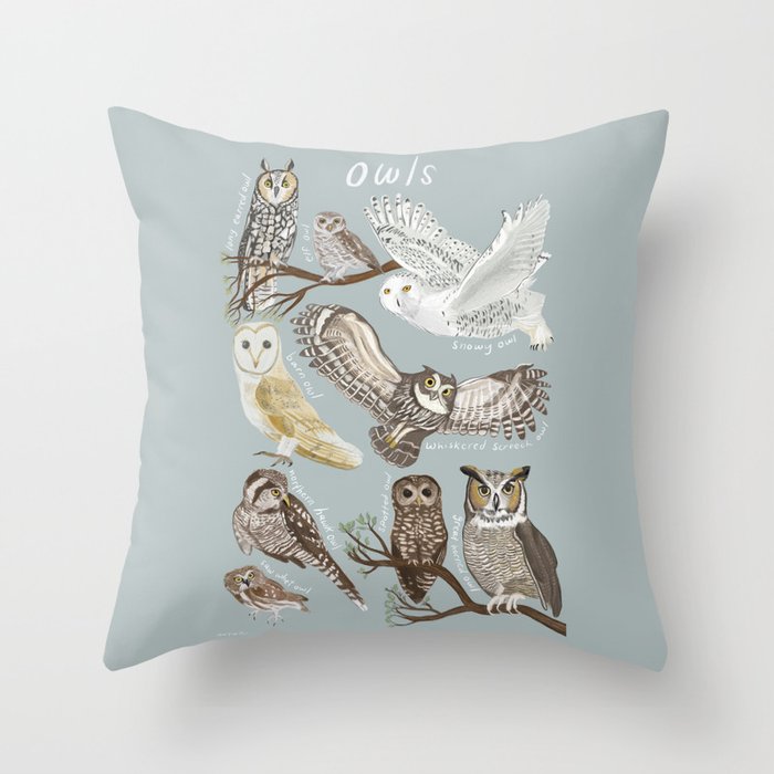 Owls Illustrated Chart Throw Pillow Gallery Image 1