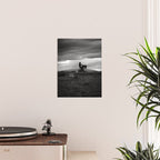 Black and White Cowboy Being Bucked Off Poster Gallery Image 2
