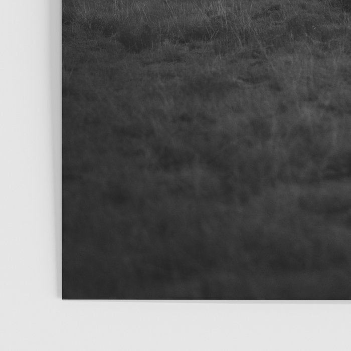 Black and White Cowboy Being Bucked Off Poster Gallery Image 3