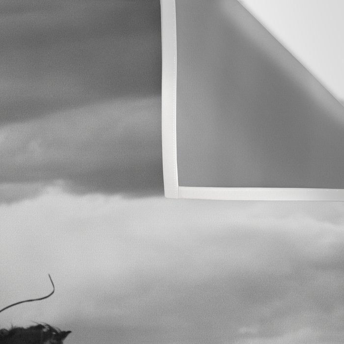 Black and White Cowboy Being Bucked Off Wall Tapestry Gallery Image 3