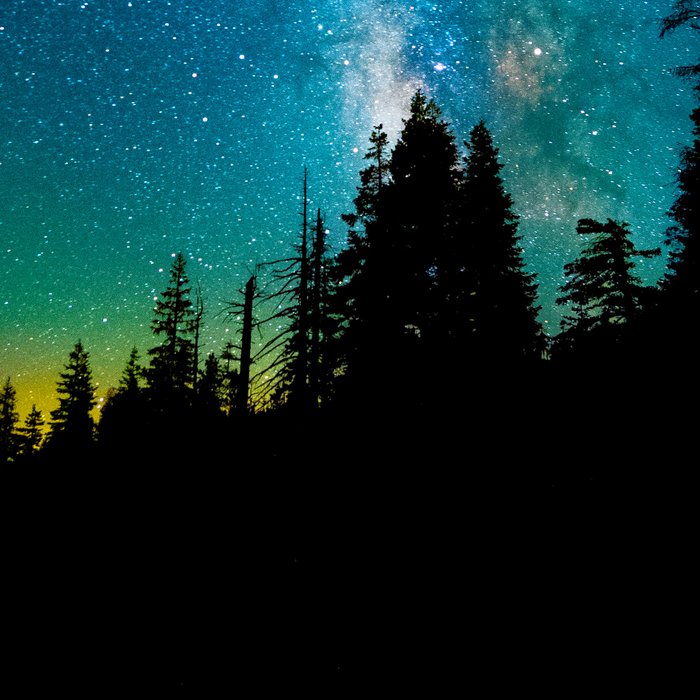 Blue White Milky Way Galaxy At Night Stars At Night Black Trees Silhouette Coffee Mug Gallery Image 2