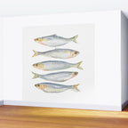 Sardine Fish Watercolor  Wall Mural Gallery Image 2