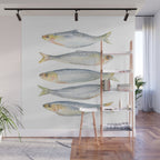 Sardine Fish Watercolor  Wall Mural Gallery Image 1