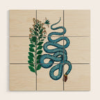 Albertus Seba Snakes Blue Snake  Wood Wall Art Gallery Image 1