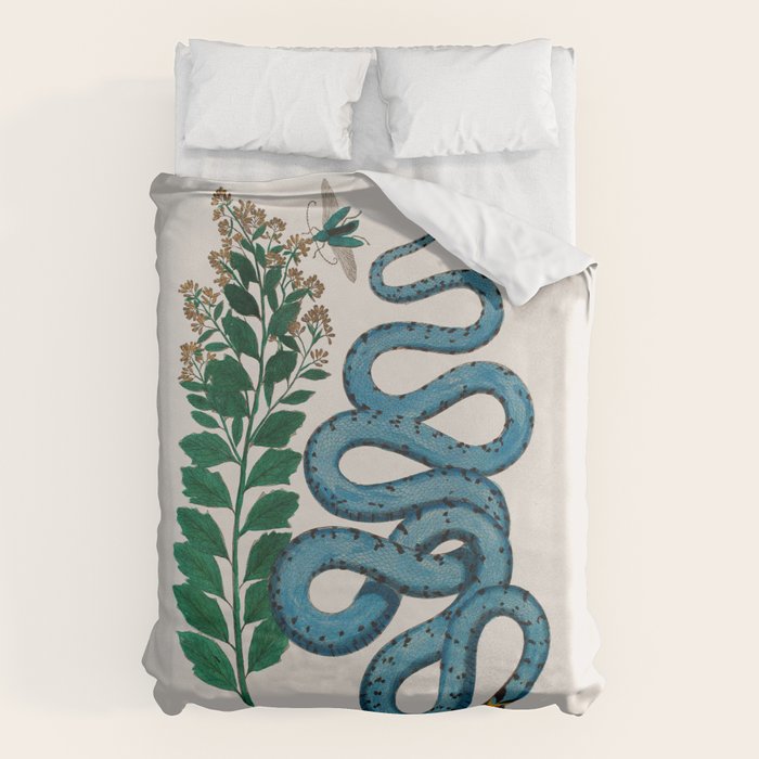 Albertus Seba Snakes Blue Snake  Duvet Cover Gallery Image 6