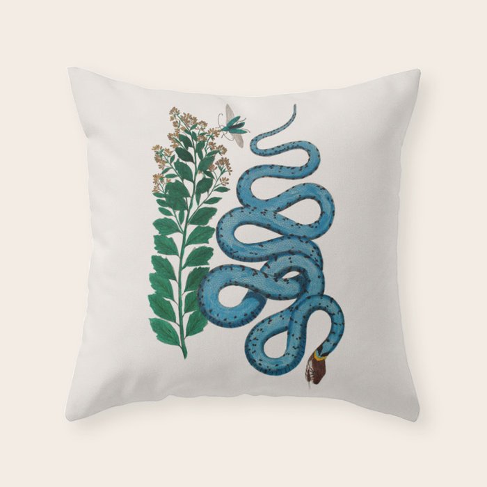 Albertus Seba Snakes Blue Snake  Throw Pillow Gallery Image 6