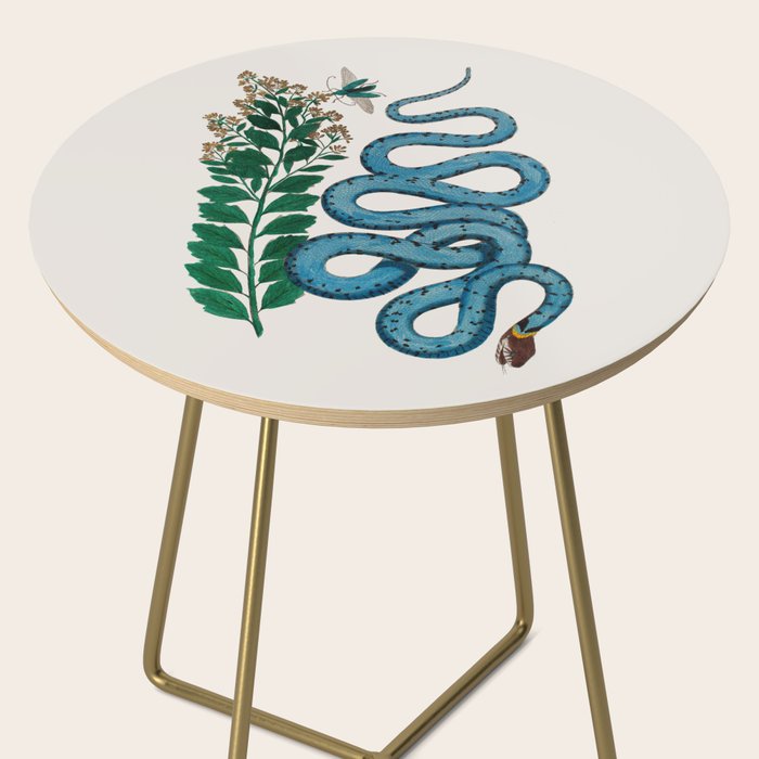 Albertus Seba Snakes Blue Snake  Side Table Gallery Image 2
