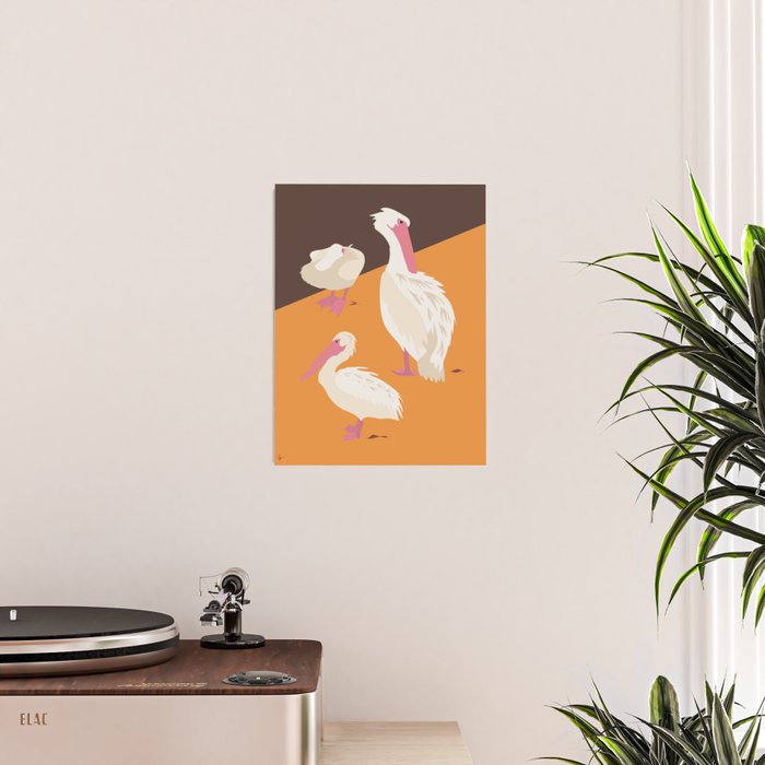 Pelicans Poster Gallery Image 2