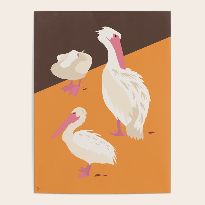 Pelicans Poster Gallery Image 4