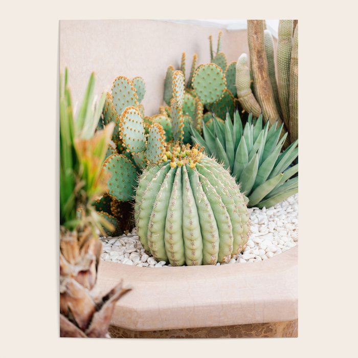 Cactus Love | Marrakech Travel Photography Poster Gallery Image 4