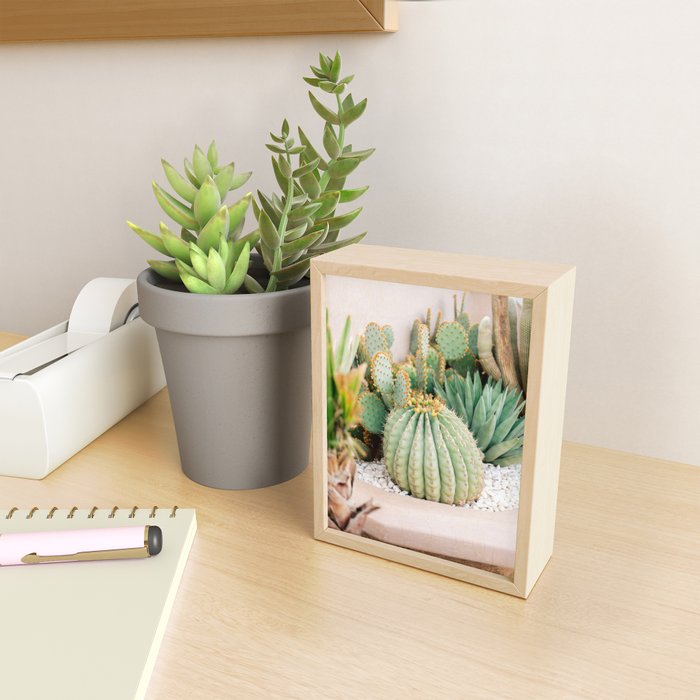 Cactus Love | Marrakech Travel Photography Mini Art Print Gallery Image 2