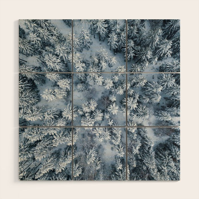 Winter Pine Forest Wood Wall Art Gallery Image 1