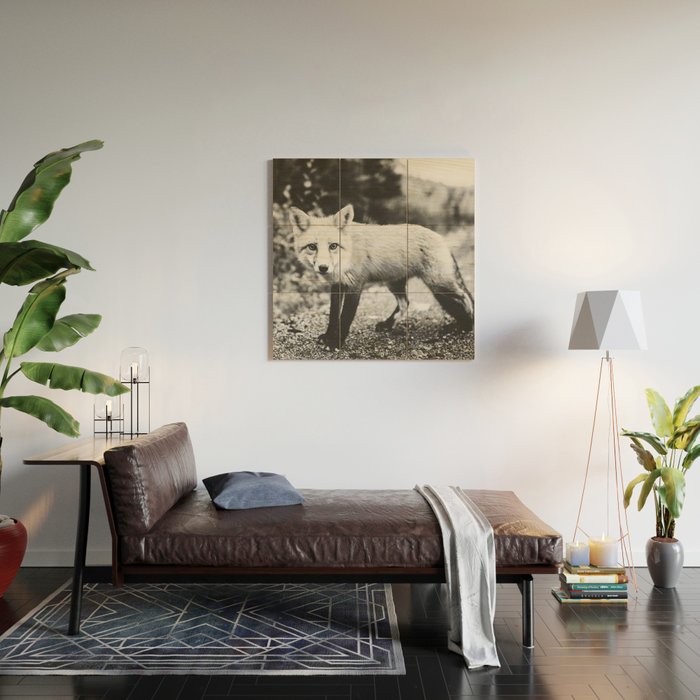 CURIOUS FOX III Wood Wall Art Gallery Image 2