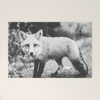 CURIOUS FOX III Welcome Mat Gallery Image 1