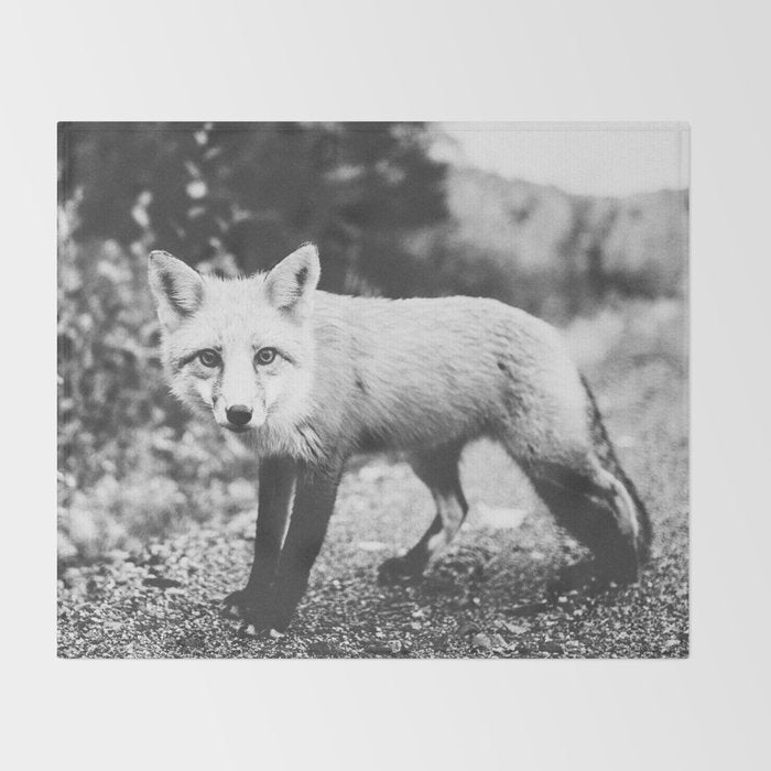 CURIOUS FOX III Throw Blanket Gallery Image 2