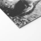 CURIOUS FOX III Welcome Mat Gallery Image 2