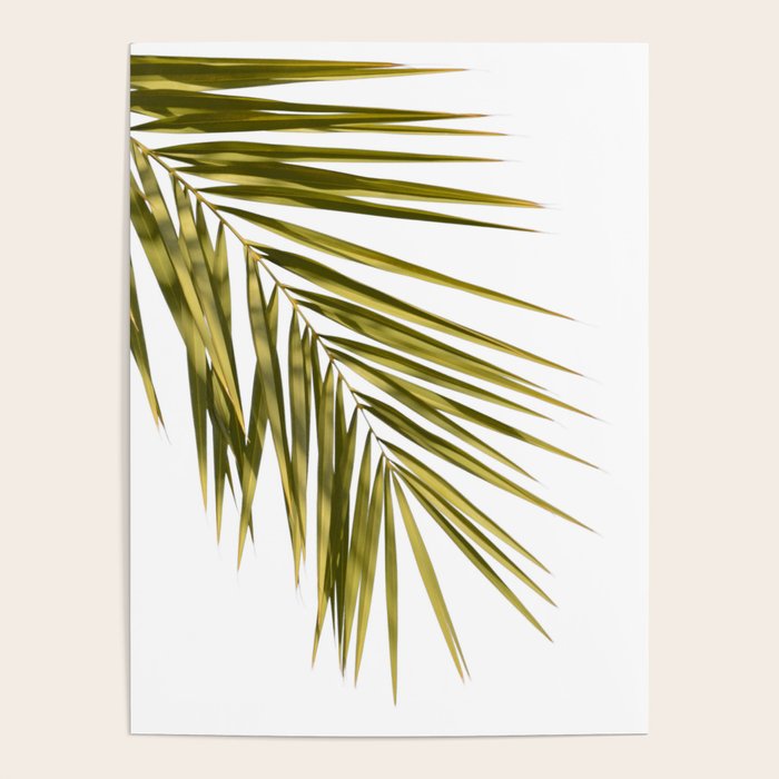 Palm Leaves V Poster Gallery Image 4