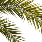 Palm Leaves V Coffee Mug Gallery Image 2