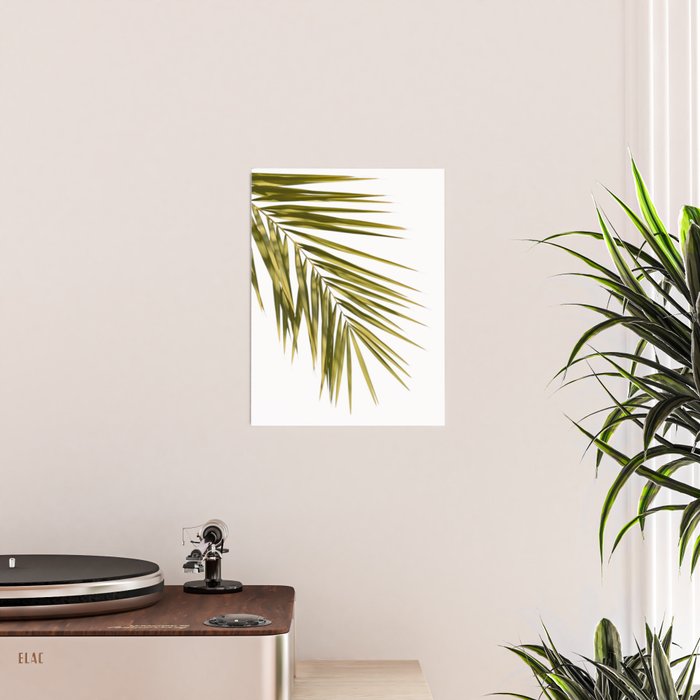 Palm Leaves V Poster Gallery Image 2