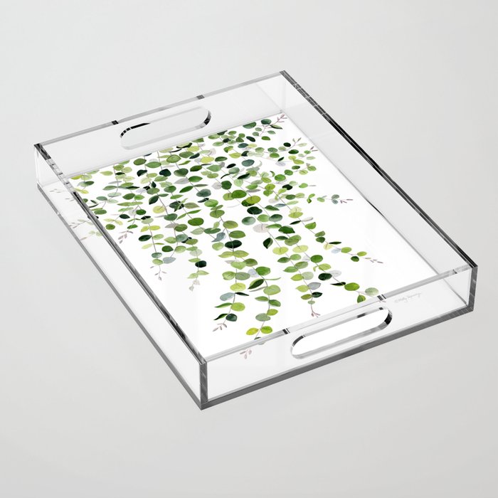 Eucalyptus Watercolor 8 Acrylic Tray Gallery Image 1