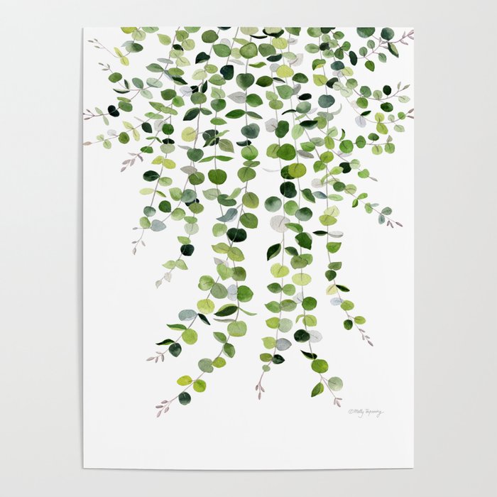 Eucalyptus Watercolor 8 Poster Gallery Image 4