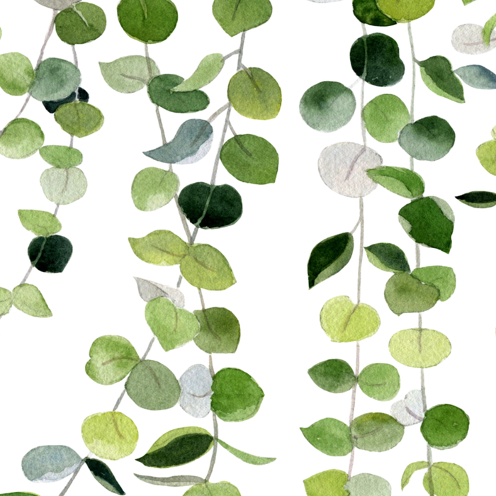 Eucalyptus Watercolor 8 Coffee Mug Gallery Image 2