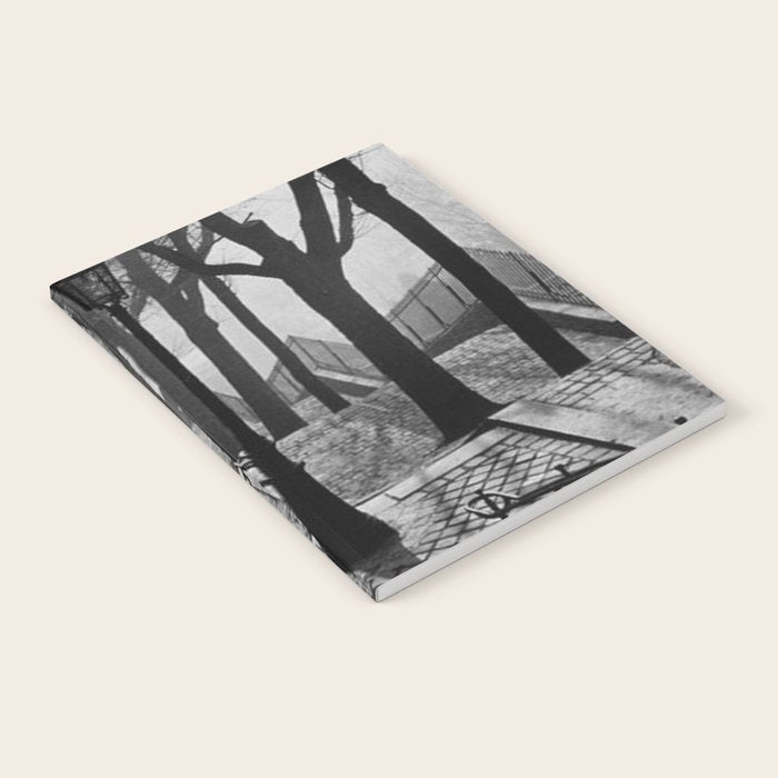 Sacre Coeur, Montmartre, Paris, France Stairs black and white photograph / black and white photography Notebook Gallery Image 1