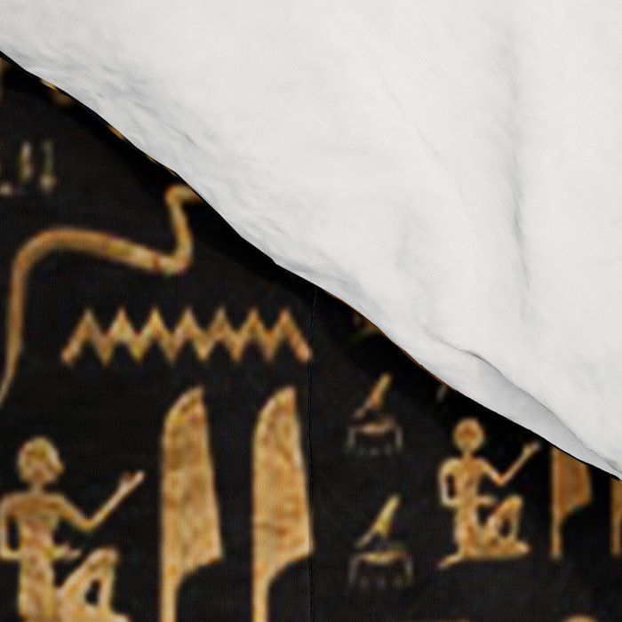 Ancient Egyptian Hieroglyphics Obsidian Copper Comforter Gallery Image 4