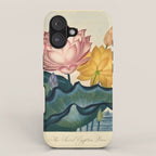 Sacred Egyptian Bean from "The Temple of Flora," 1812 (benefitting The Nature Conservancy) iPhone Case Gallery Image 1