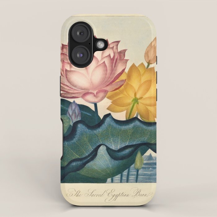 Sacred Egyptian Bean from "The Temple of Flora," 1812 (benefitting The Nature Conservancy) iPhone Case Gallery Image 1