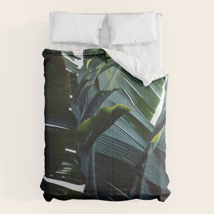 Touched By Light Comforter Gallery Image 6