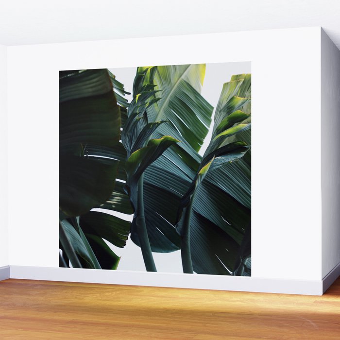 Touched By Light Wall Mural Gallery Image 2