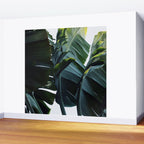 Touched By Light Wall Mural Gallery Image 2