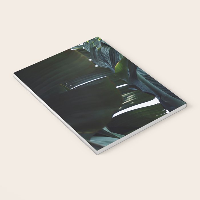 Touched By Light Notebook Gallery Image 3