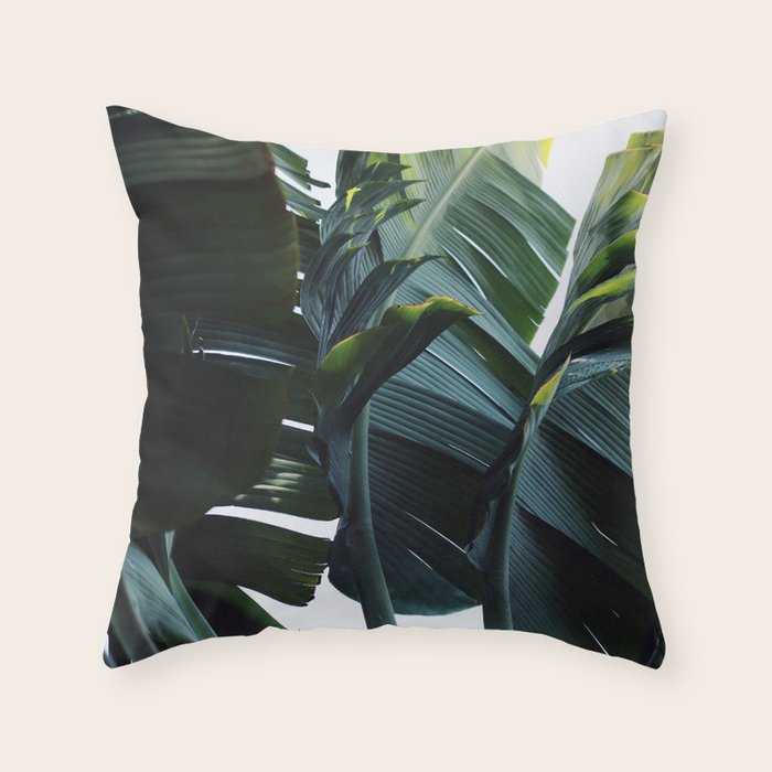 Touched By Light Throw Pillow Gallery Image 1