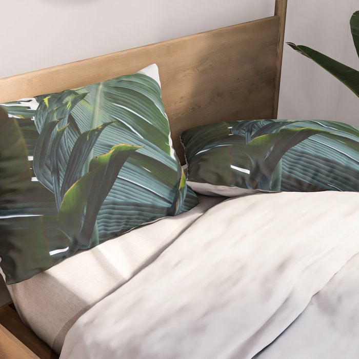 Touched By Light Pillow Sham Gallery Image 2