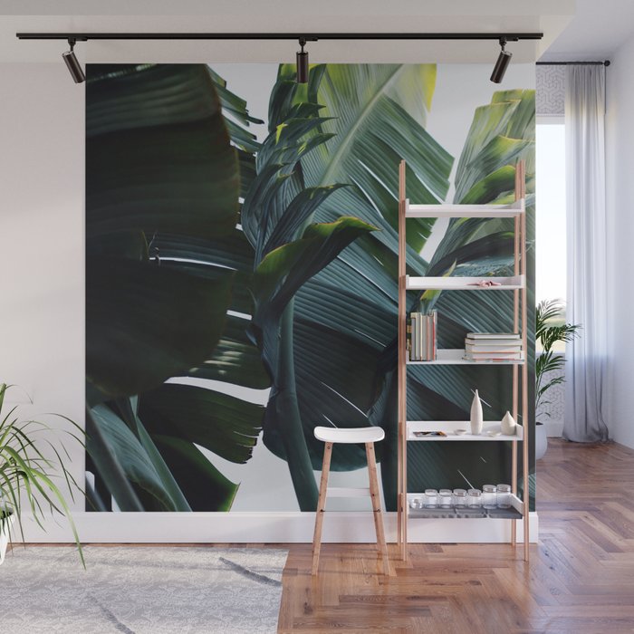 Touched By Light Wall Mural Gallery Image 1