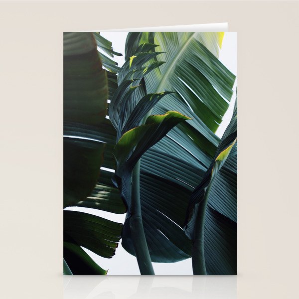 Touched By Light Stationery Card Gallery Image 2