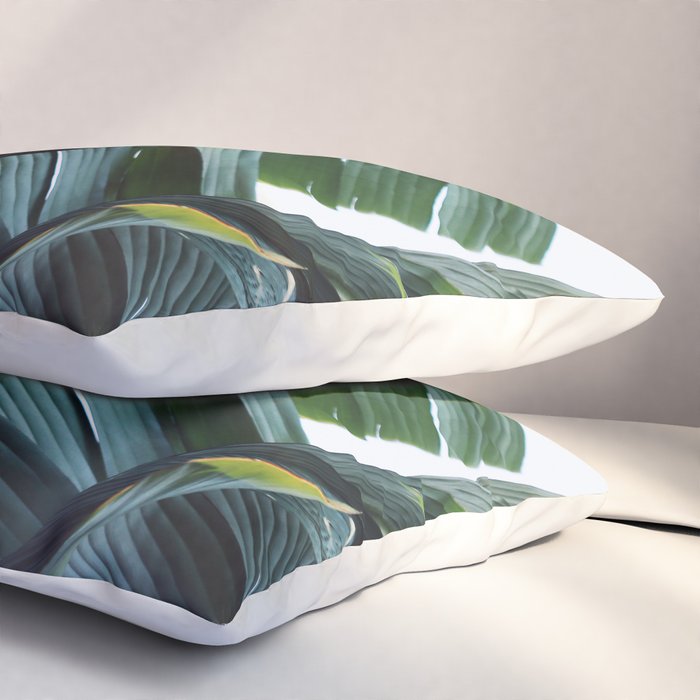 Touched By Light Pillow Sham Gallery Image 3