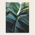 Touched By Light Notebook Gallery Image 4