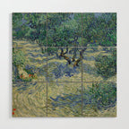 Olive Orchard by Vincent Van Gogh Wood Wall Art Gallery Image 1