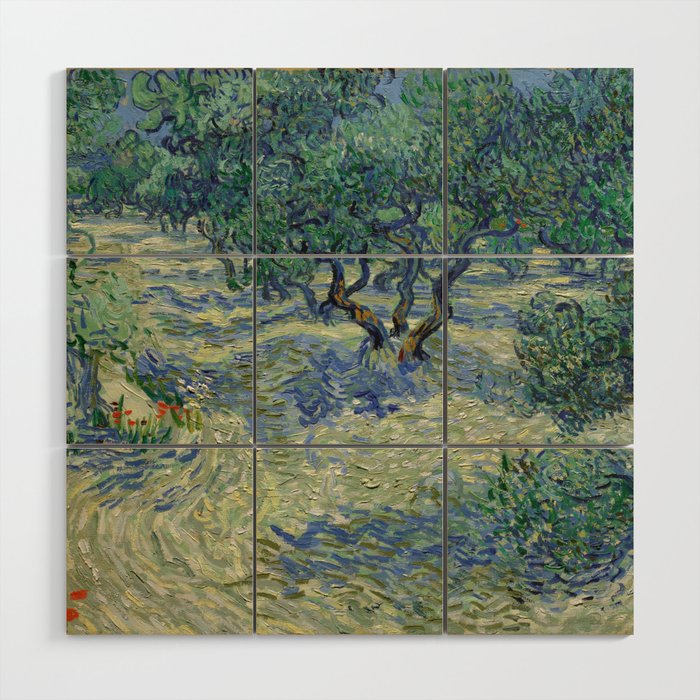 Olive Orchard by Vincent Van Gogh Wood Wall Art Gallery Image 1