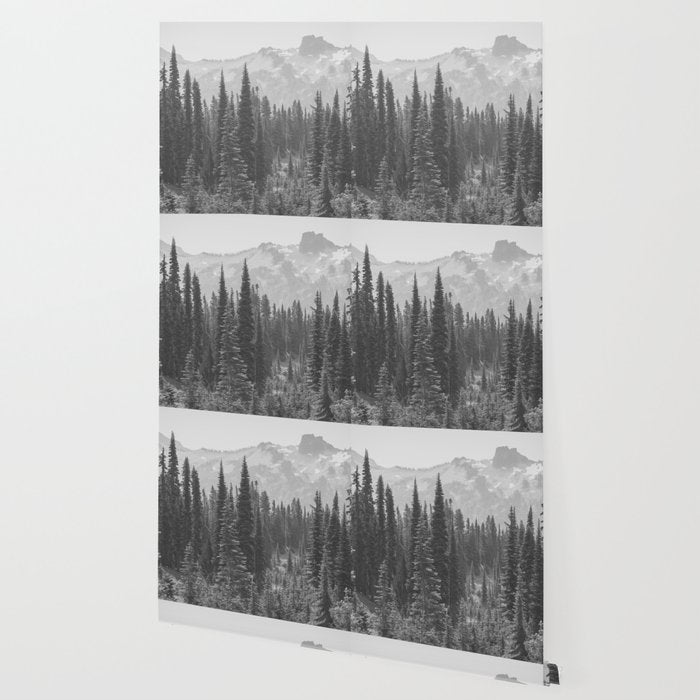 Escape to the Wilds - Black and White Nature Photography Wallpaper Gallery Image 2