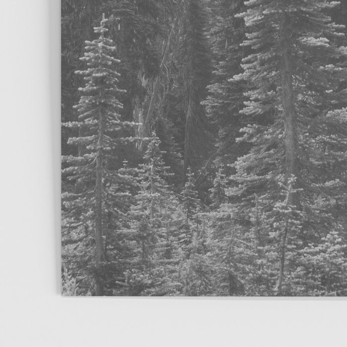 Escape to the Wilds - Black and White Nature Photography Poster Gallery Image 3