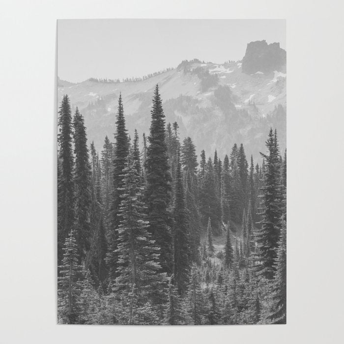 Escape to the Wilds - Black and White Nature Photography Poster Gallery Image 4
